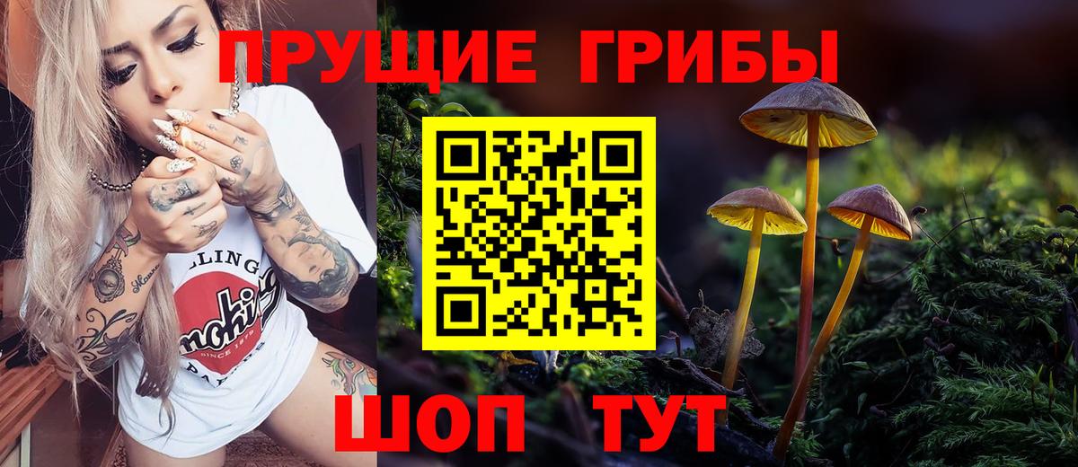 Псилоцибиновые грибы Psilocybine cubensis  купить наркотик  Обнинск  Вход с VPN 